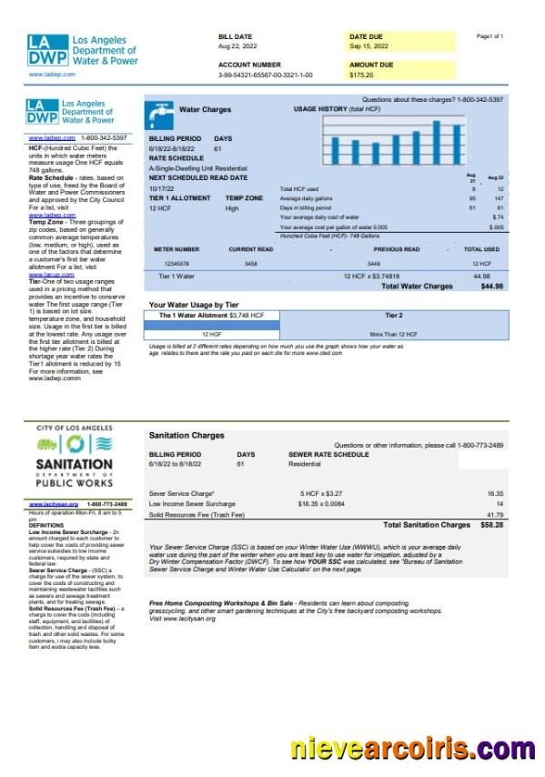 USA LA DWP utility bill